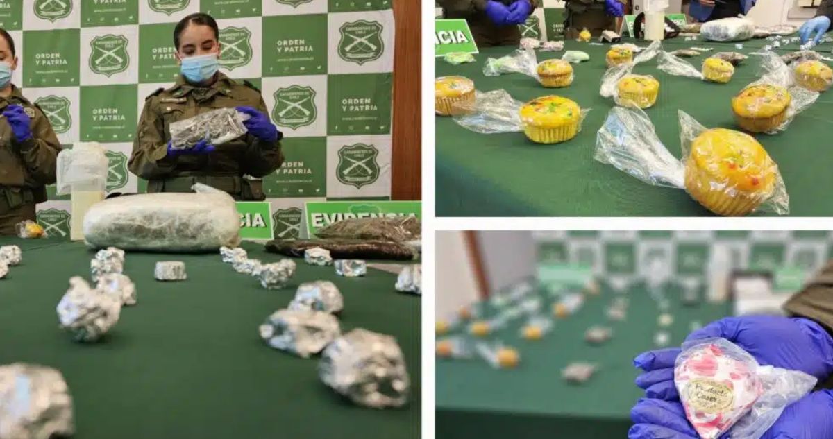 Desbaratan banda que vendía queques, bombones y alfajores de marihuana en Antofagasta
