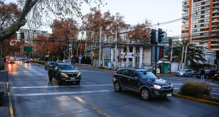 Restricción vehicular