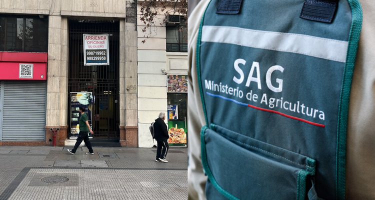 Denuncian robo en oficina del SAG en Santiago: delincuente sustrajo notebooks avaluados en $3 millones