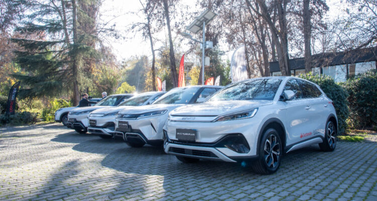 Santander Chile suma autos eléctricos e híbridos a su flota: disminuirá cerca de 189 kg de CO2 al año