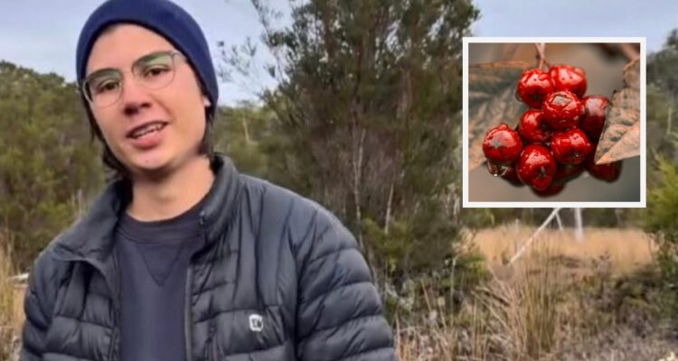 Sebastián Gotschlich tras 6 días en el parque