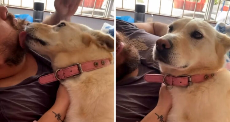 Sergio Amín y Lucía