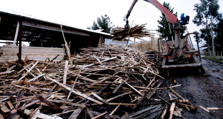 Exconsejal de Yumbel fallece mientras trabajaba en aserradero: fue impactado por trozo de madera