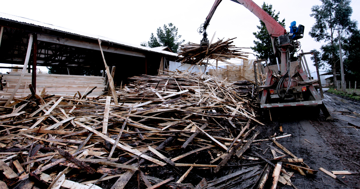 Exconsejal de Yumbel fallece mientras trabajaba en aserradero: fue impactado por trozo de madera
