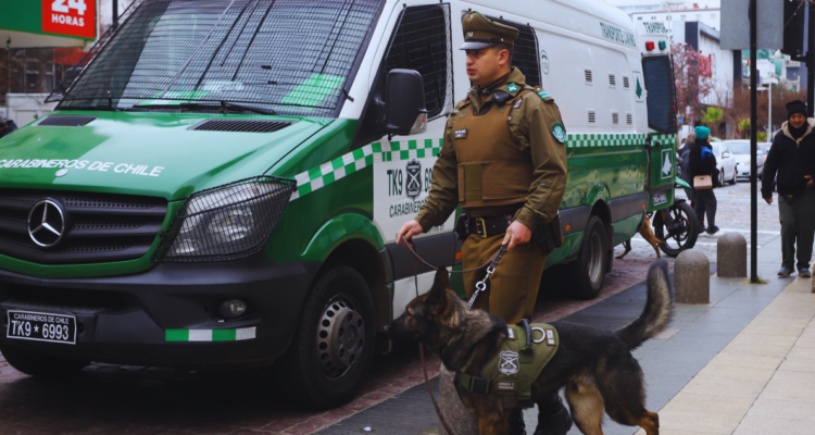 Acogen recurso por crisis de seguridad que afecta a Viña del Mar: aumento de robos y venta de drogas