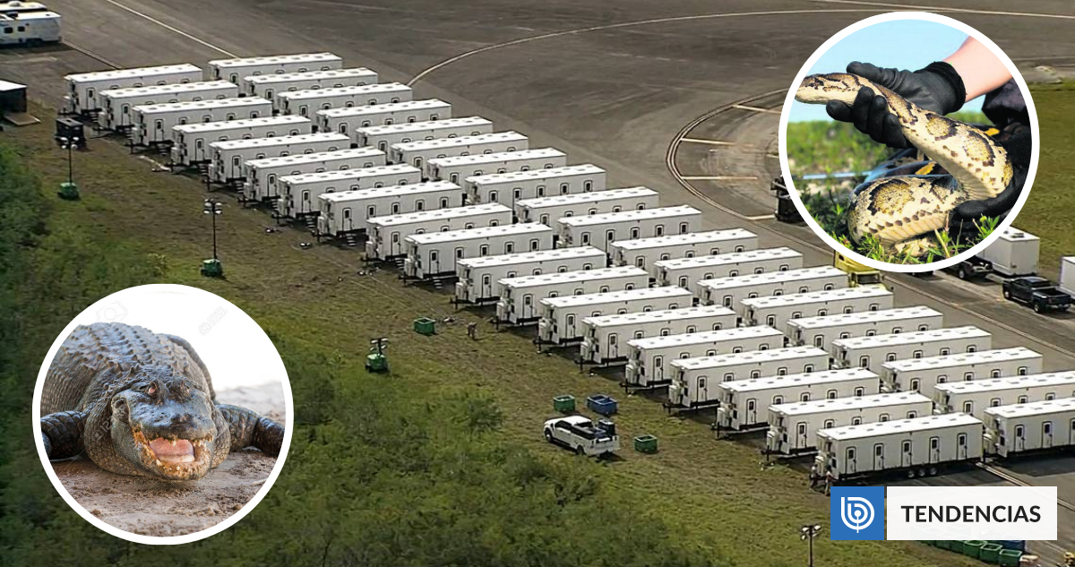 Alligator Alcatraz: la carcel de migrantes con serpientes y cocodrilos que sería inexpugnable en EEUU