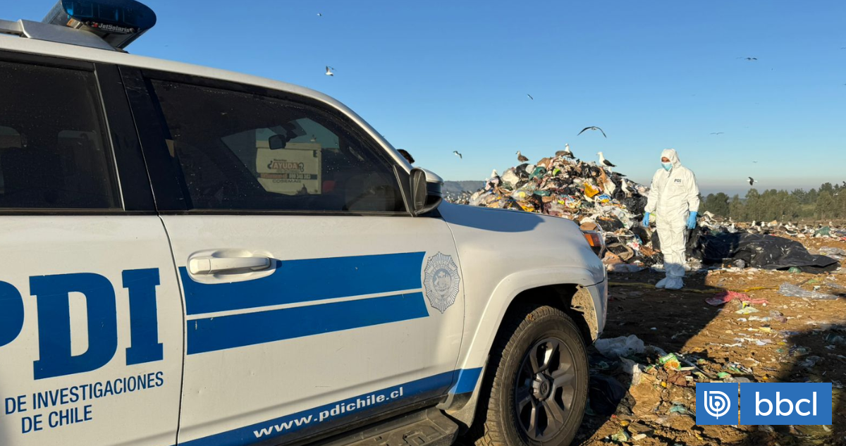 Hallan cadáver en contenedor de camión compactador de basura en Valparaíso: PDI indaga el hecho