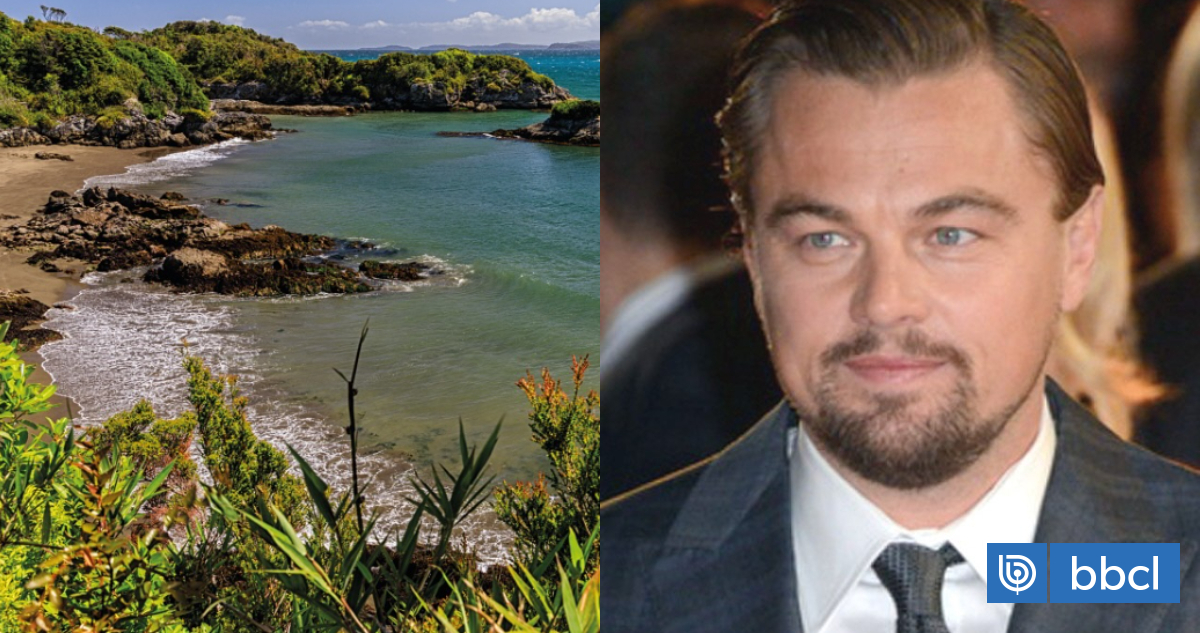 Leonardo DiCaprio reafirma compra de la Isla Guafo, en Chiloé: 