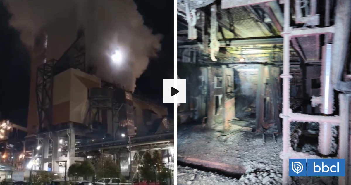 Planta Valdivia de Arauco suspende funcionamiento tras amago de incendio en una de las calderas