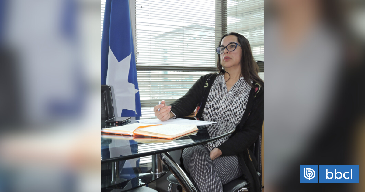 Evalúan futuro de subdirectora (s) de Conadi tras compartir llamado a manifestarse por Juan Pichún