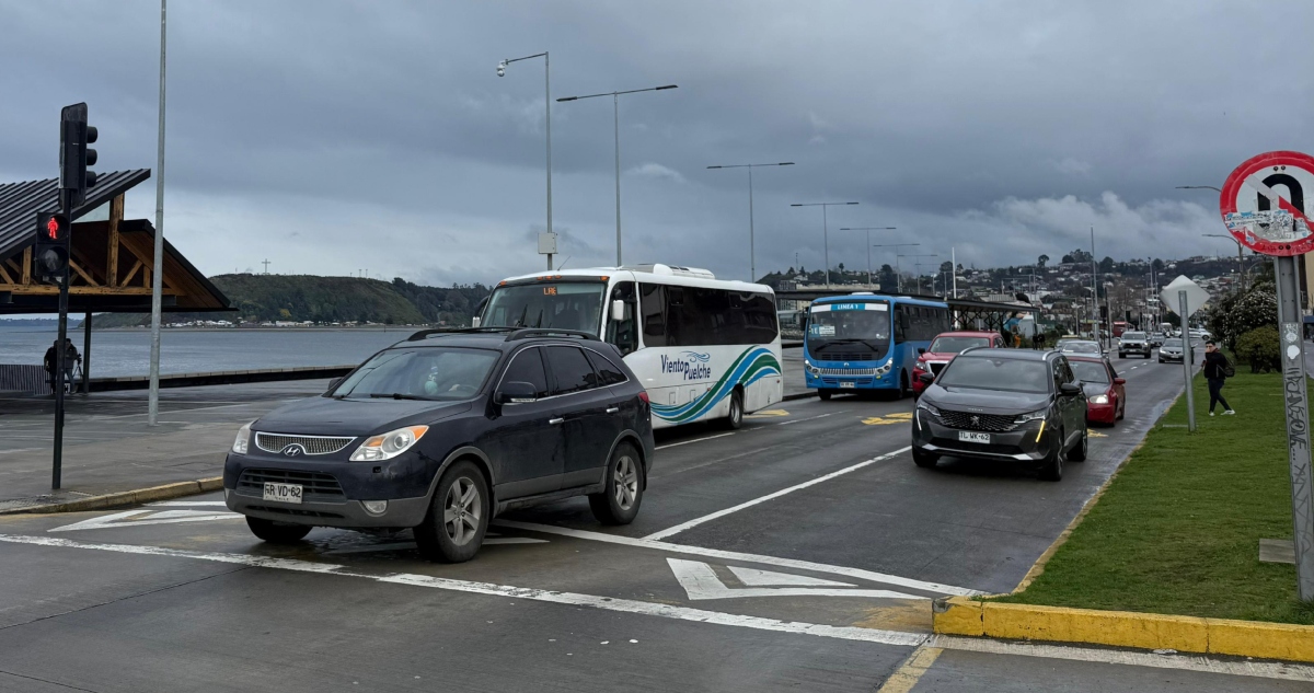 Suspensión del transporte público en Los Lagos