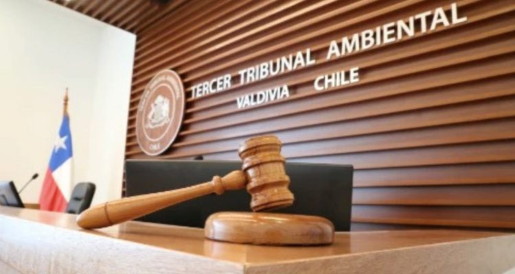 Interior de Tribunal Ambiental por proyecto Mall Paseo Valdivia