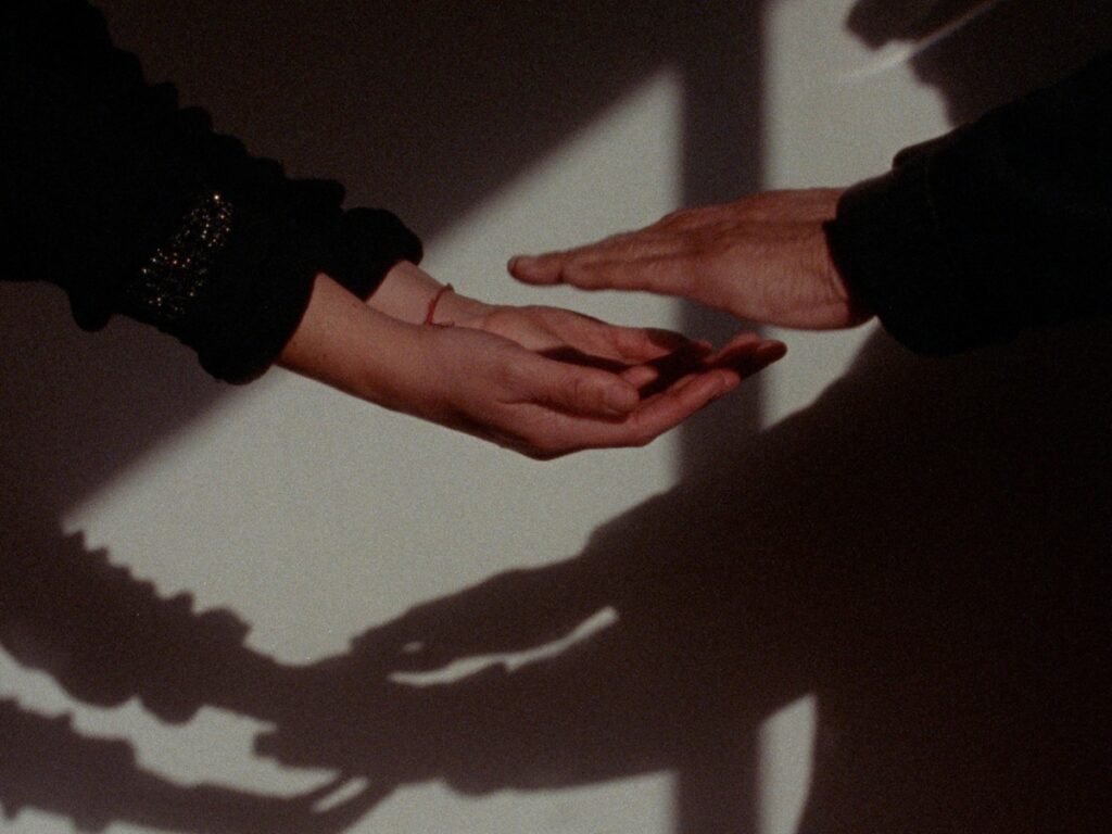 Una sombra oscilante