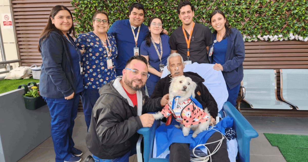 Visita de mascota a paciente hospitalizado en Viña del Mar
