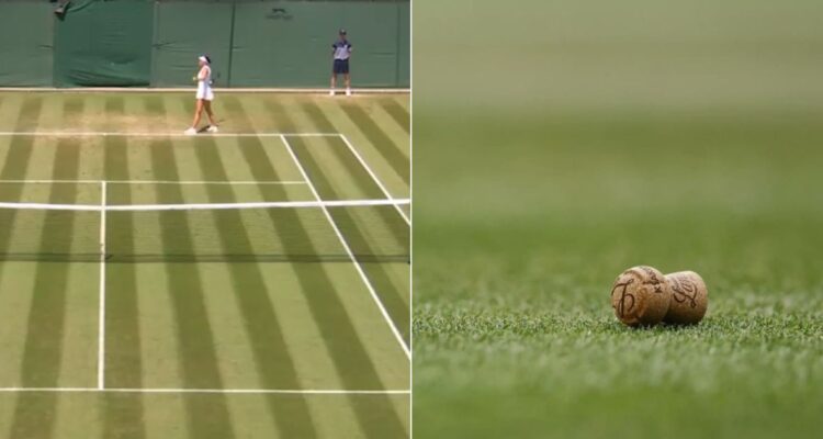 La champagne ha ganado protagonismo en Wimbledon: varios tenistas están furiosos