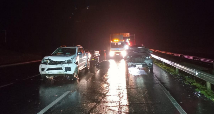 120 vacunos generaron múltiples colisiones en Ruta 5 Sur: 20 animales muertos y 9 vehículos con daños