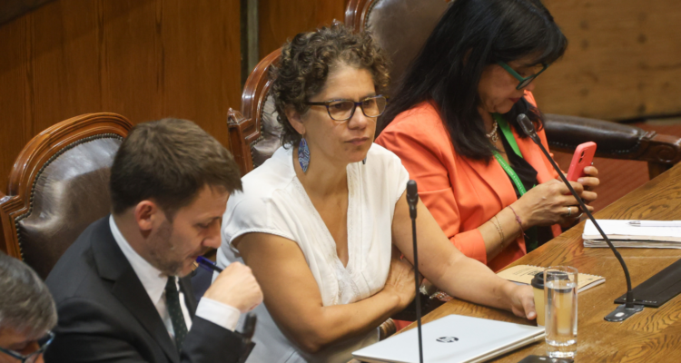 Accountability ambiental: compromisos sin reglamentos, fiscalización sin certezas