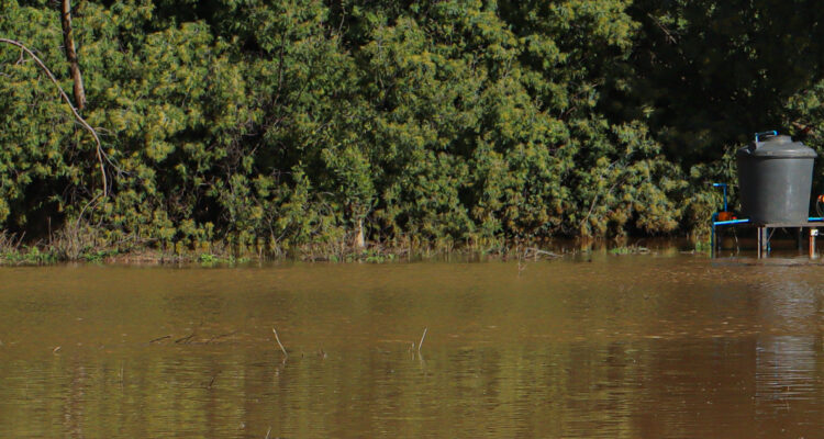 Senapred declara Alerta Roja para Los Sauces y Angol por riesgo de desborde del río Rahue
