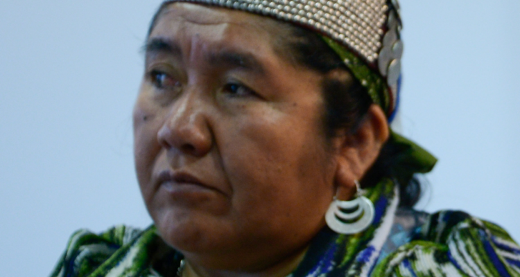 Consejera nacional mapuche ante la Conadi, Ana Llao, califica consulta indígena como una “invasión moderna”