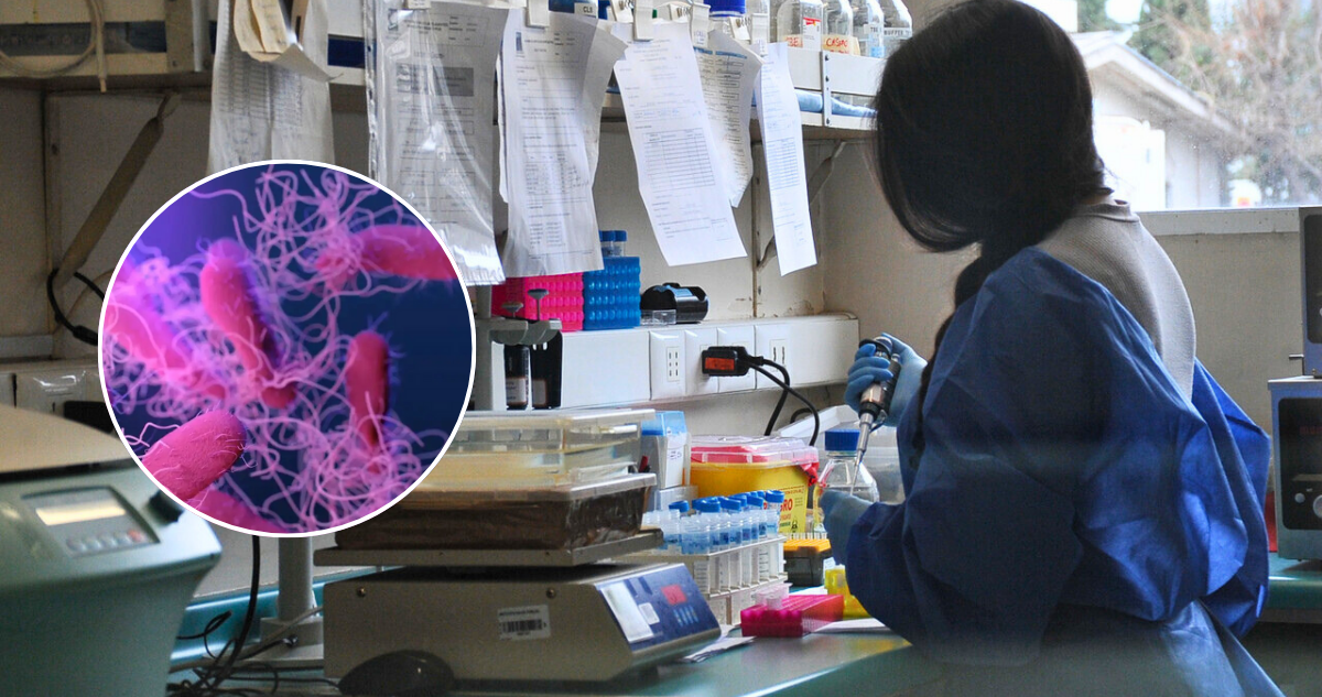 Infecciones por bacteria “come carne” en EEUU se disparan y dejan 6 muertos en Luisiana