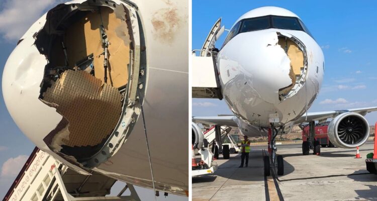 Avión que volaba de Madrid a París regresa a aeropuerto tras chocar con ave poco después del despegue