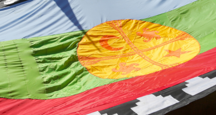 Bandera mapuche por serie de encuentros que partirán en Paillaco en el marco de la consulta indígena