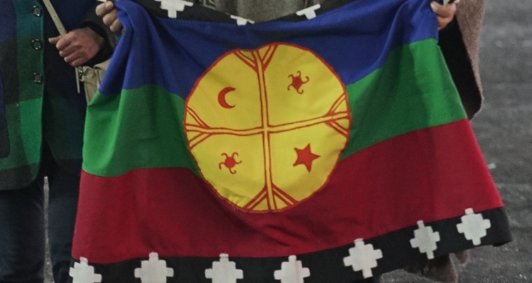 Bandera mapuche por consulta indígena en Panguipulli