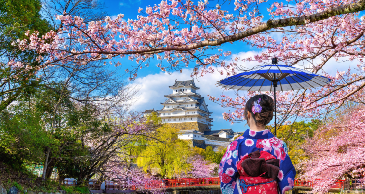 Así puedes postular al Barco Mundial de la Juventud para viajar gratis a Japón: plazo vence el domingo