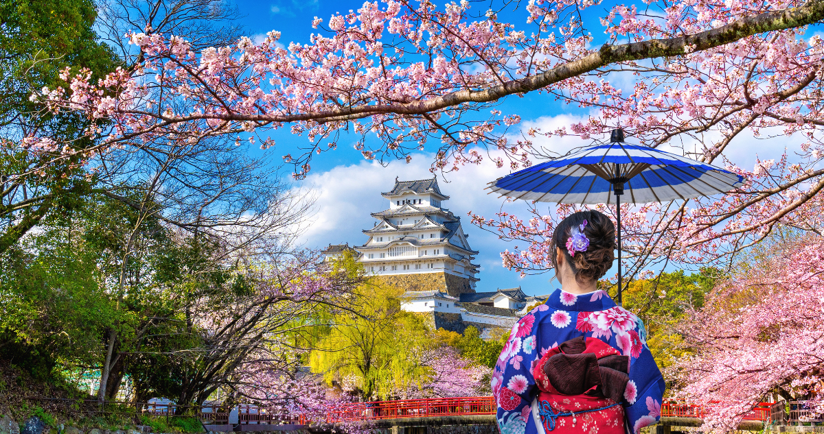 Así puedes postular al Barco Mundial de la Juventud para viajar gratis a Japón: plazo vence el domingo
