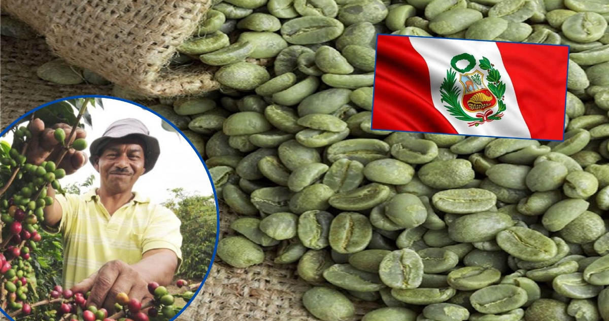 Café verde