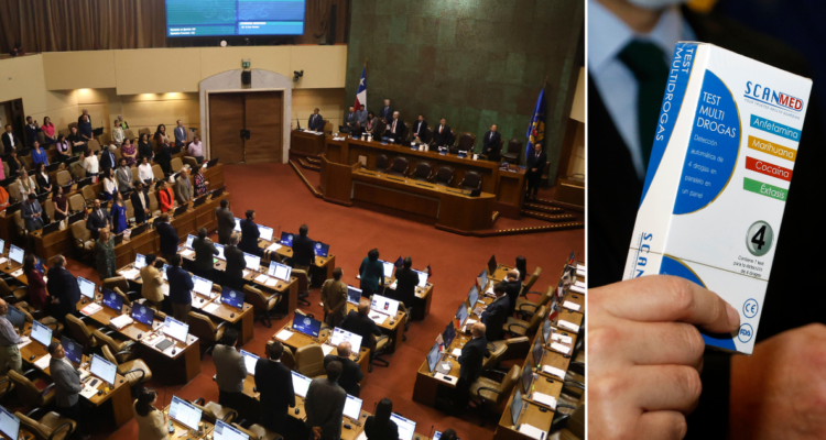 Cámara de Diputados aprueba en particular el proyecto de test de drogas para autoridades del Estado