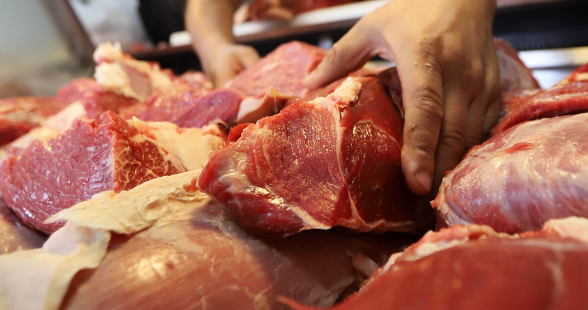 Productores de carne advierten posible aumento en importaciones a Chile desde Brasil