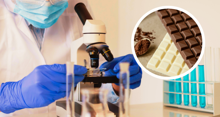 Chocolate creado en laboratorio: expertos seleccionan bacterias y hongos para lograr sabor único