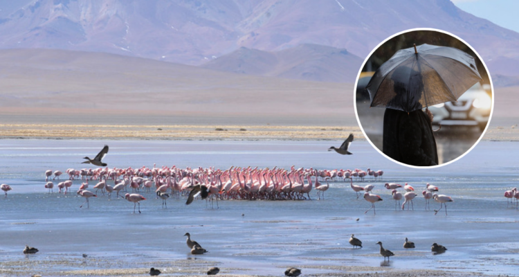 Conaf cierra temporalmente 10 parques y reservas nacionales en zona norte y centro por sistema frontal