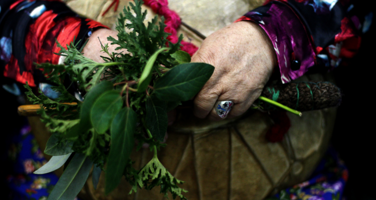 Foto de contexto de mapuche para columna sobre consulta indígena