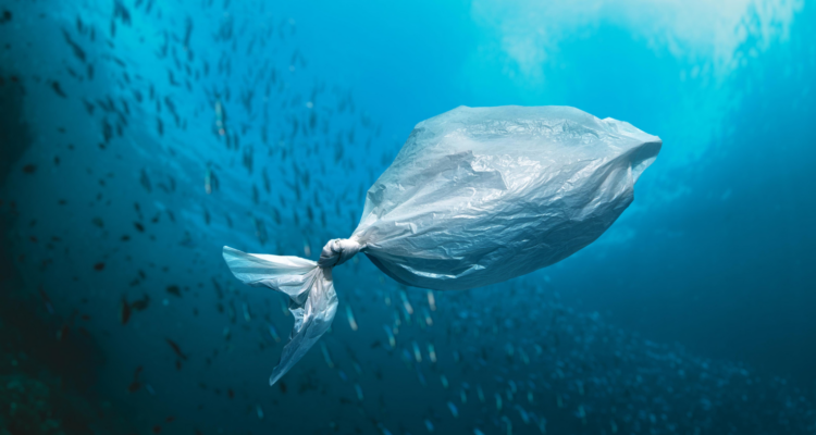 Negociaciones internacionales buscan un tratado global contra la contaminación plástica, pero intereses de algunos países amenazan la acción ambiental y la salud.