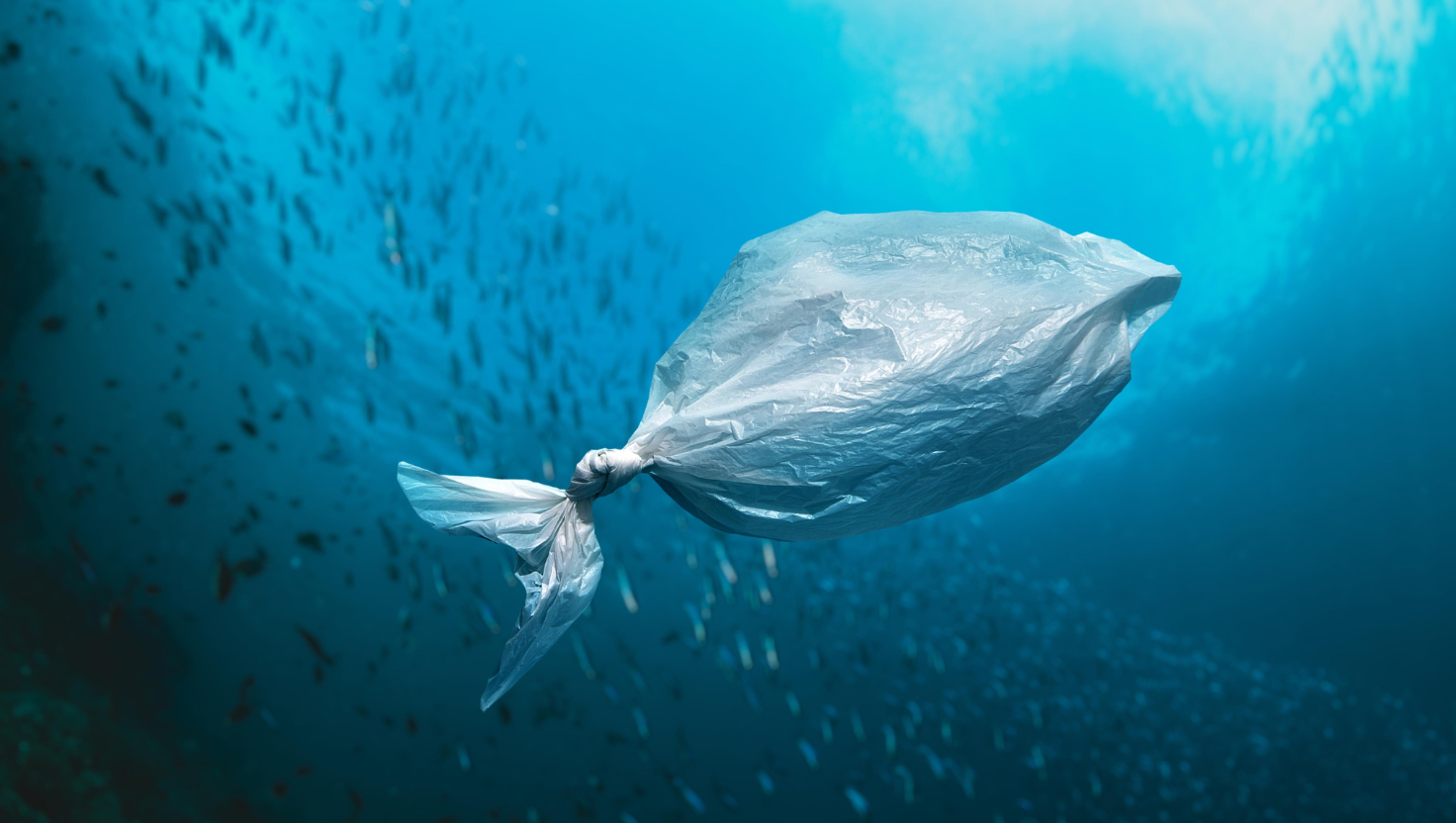 Negociaciones internacionales buscan un tratado global contra la contaminación plástica, pero intereses de algunos países amenazan la acción ambiental y la salud.