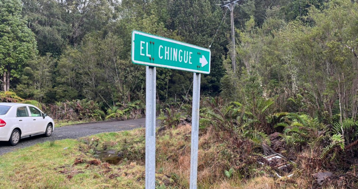 Búsqueda de adulta mayor extraviada en Puerto Montt