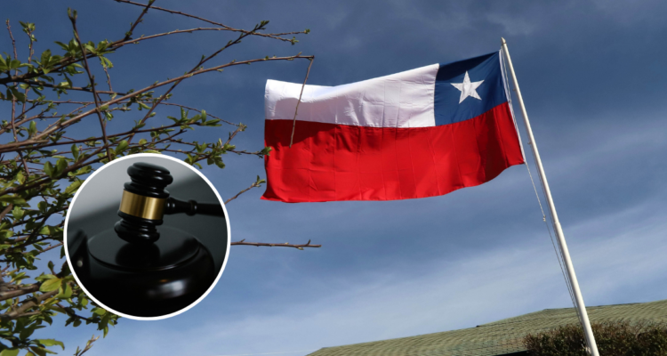 Contratistas forestales denuncian al Estado: piden a la CIDH medidas de seguridad en la Macrozona Sur