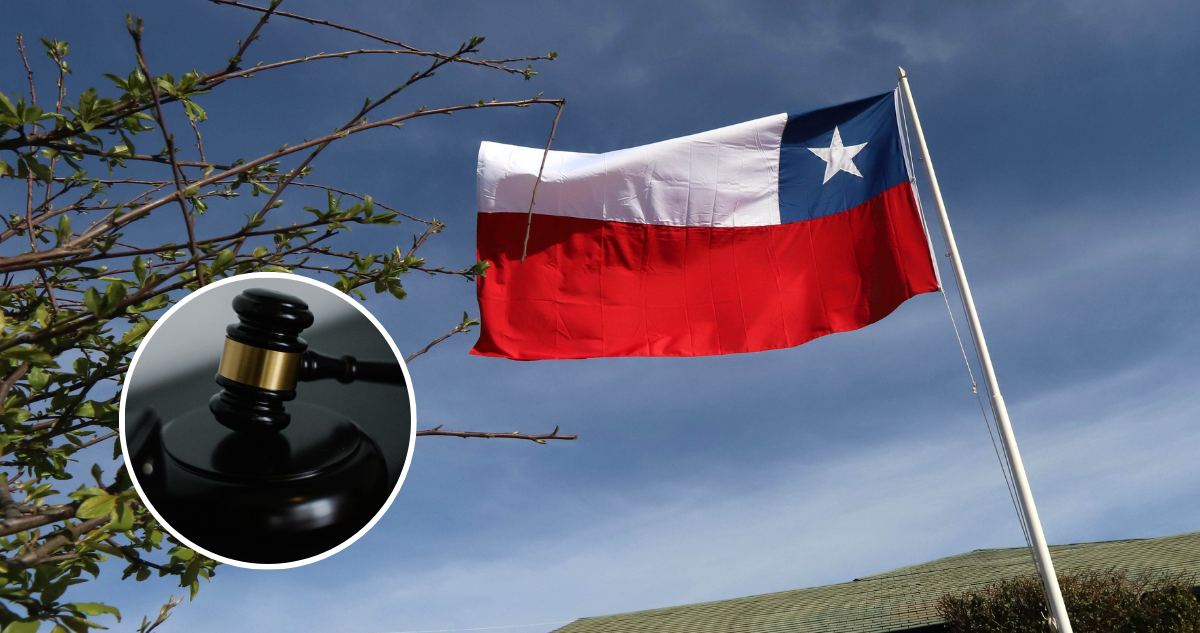 Contratistas forestales denuncian al Estado: piden a la CIDH medidas de seguridad en la Macrozona Sur
