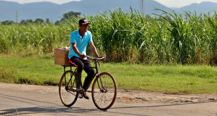 “Desastre”: Reportan que Cuba registra peor resultado en más de un siglo de cosecha de caña de azúcar