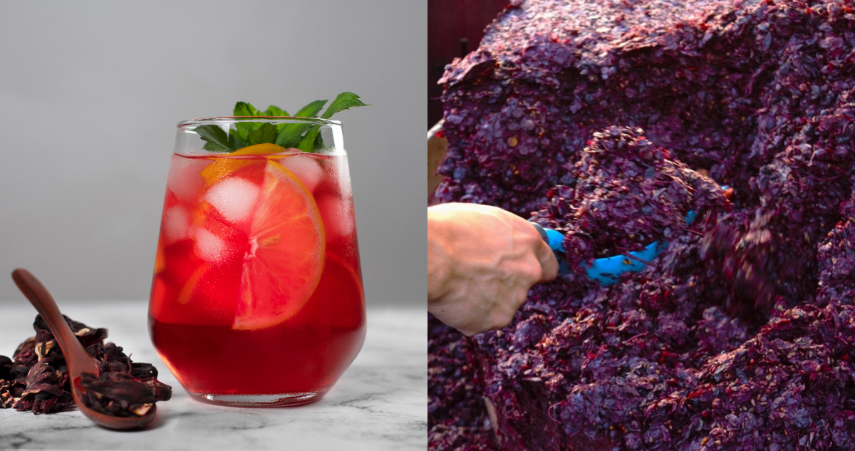 Para recetas con sabor a vino: chilenos convierten desechos de uva en infusiones sin alcohol