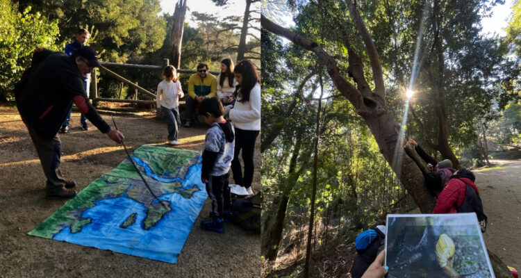 Por el Día del Niño: anuncian actividades literarias gratuitas en la región del Bío Bío