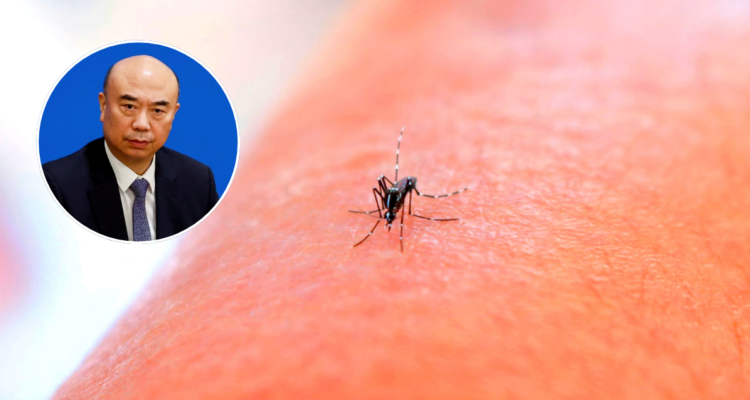 China reportó 7 mil casos de virus “chikunguña” transmitido por mosquitos: OMS instó a tomar medidas