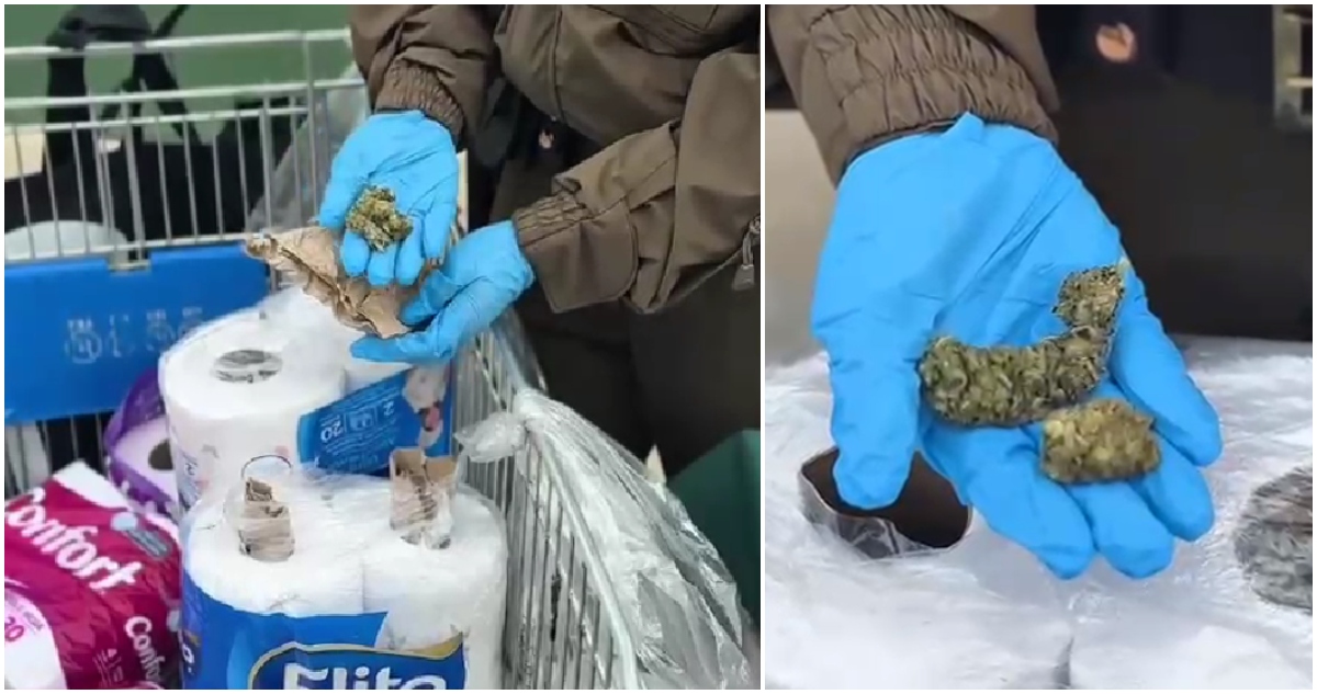 Droga en tubos de papel higiénico