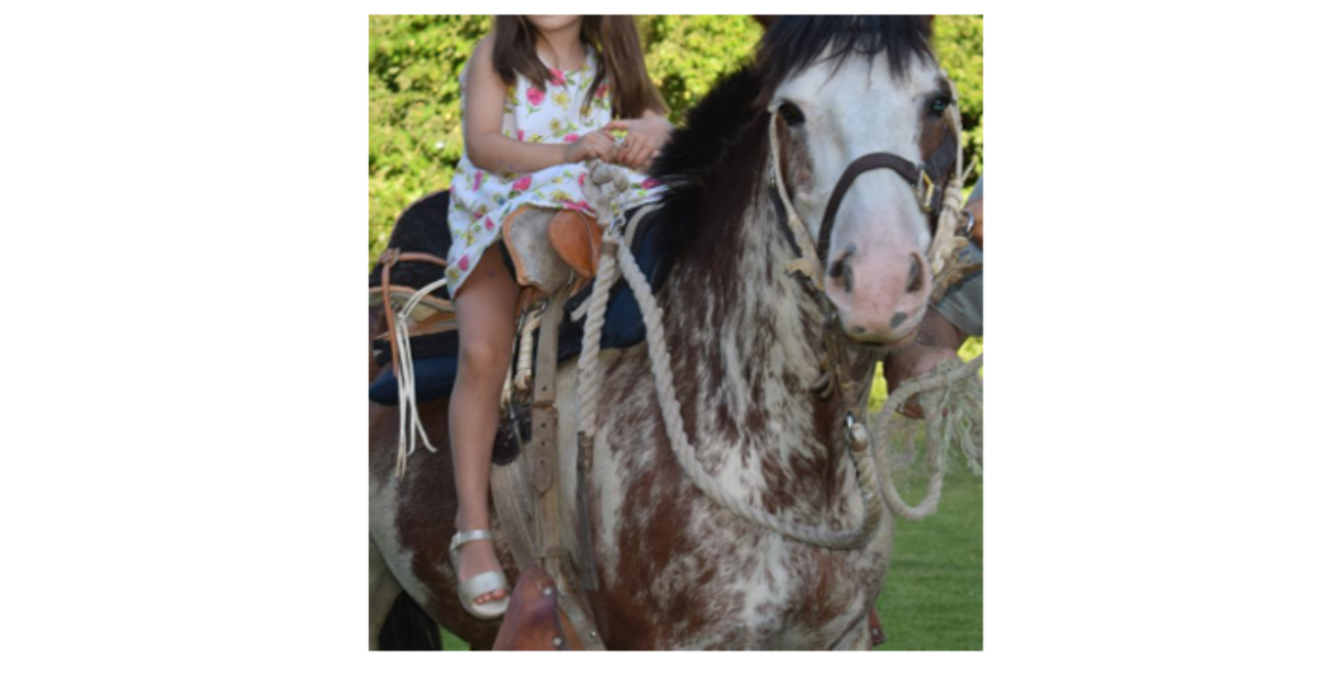 Denuncian robo de caballos a familia en Talagante 