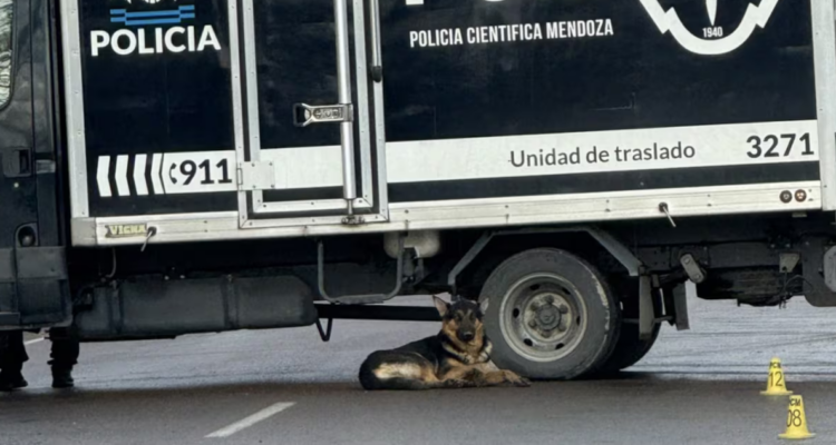 Muerte de Eliberto Cuz Cardozo