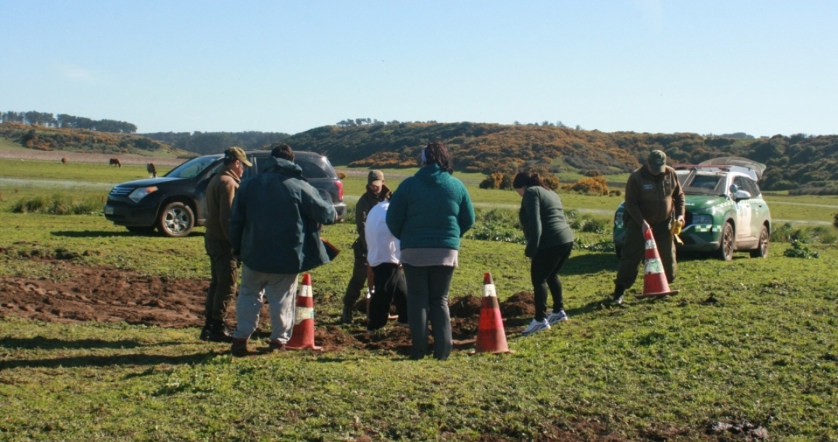 Encuentran cráneo en Isla Santa María