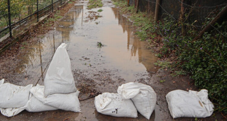 Familias aisladas por crecida de río en Hualqui no pueden usar puente: particular cerró acceso