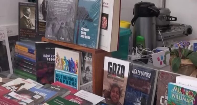 Libros y artesanía: Feria Itinerante y Cultural en San Bernardo se extenderá hasta el 15 de agosto